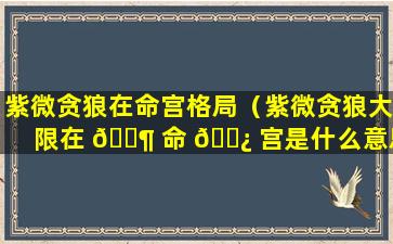 紫微贪狼在命宫格局（紫微贪狼大限在 🐶 命 🌿 宫是什么意思）